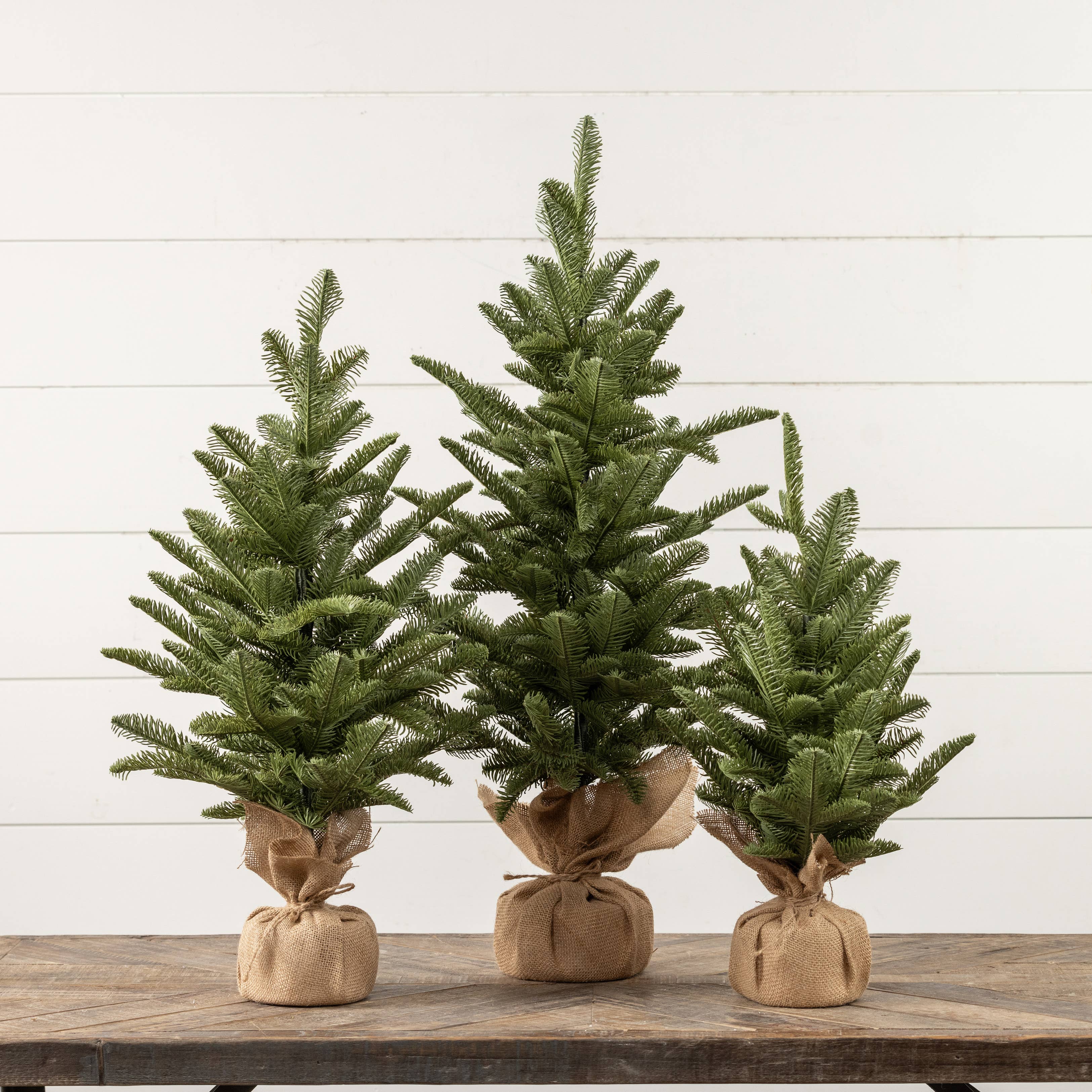 20" PINE TREE W/ TIED BURLAP BASE